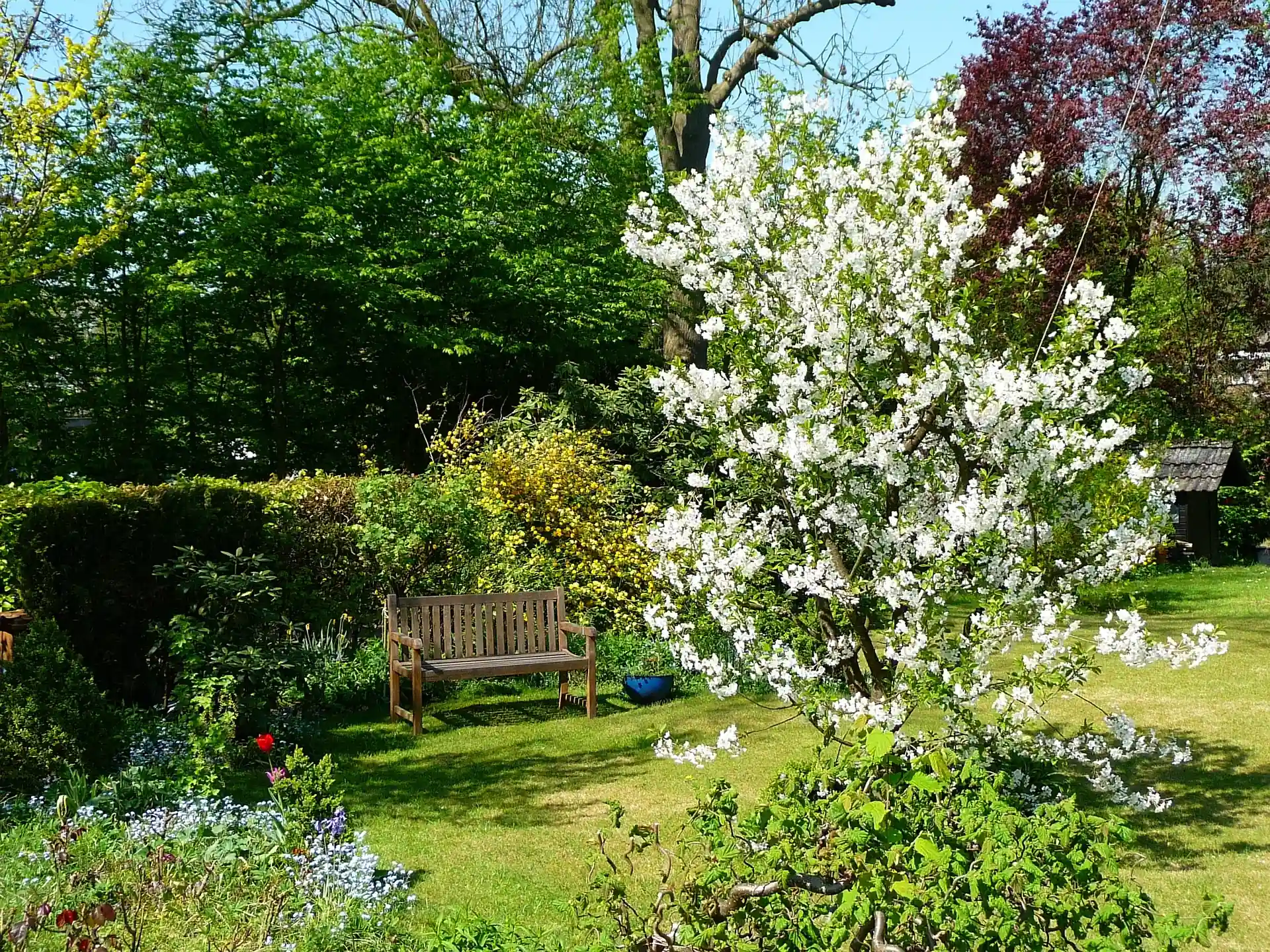 garden_background